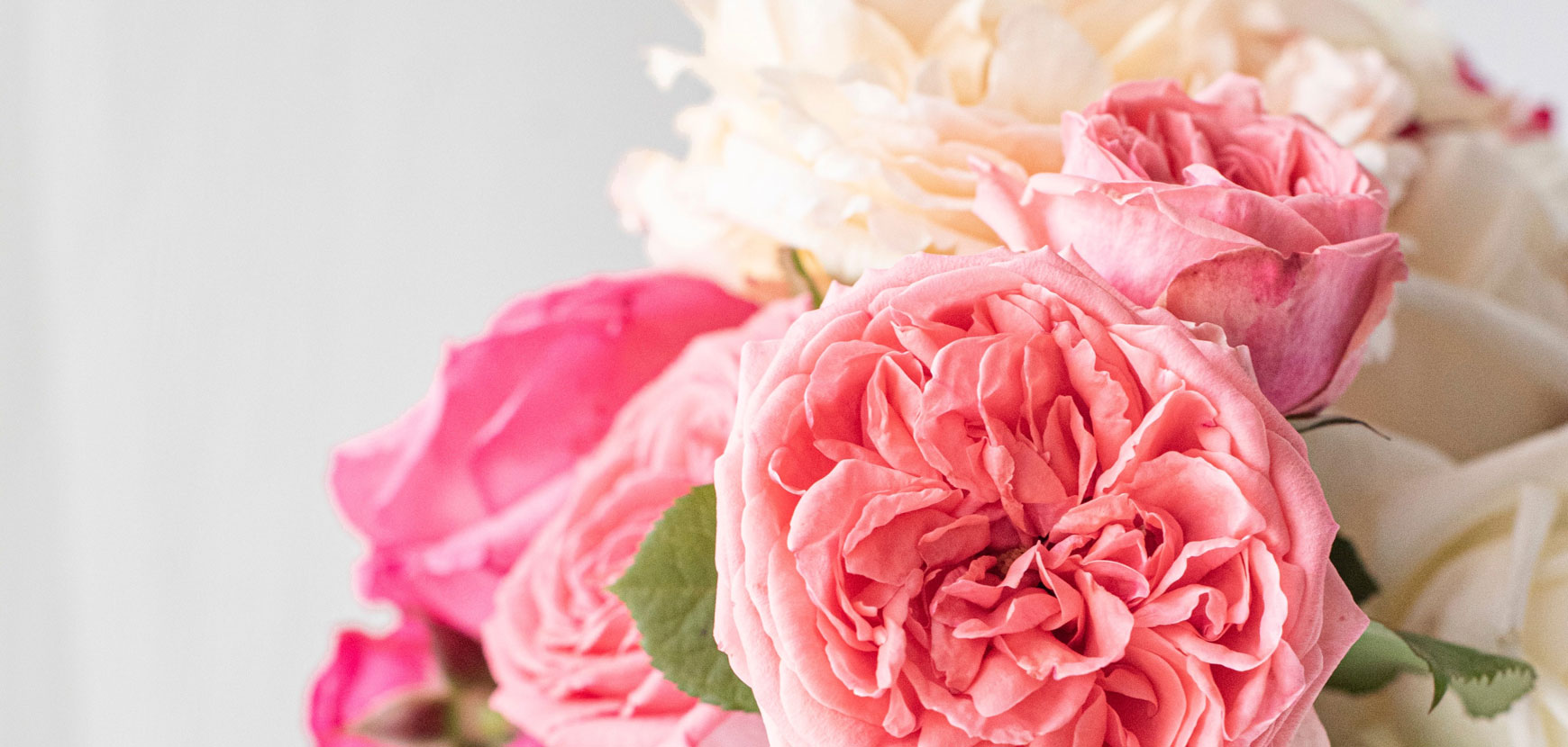 Rose per fiori recisi e bouquets