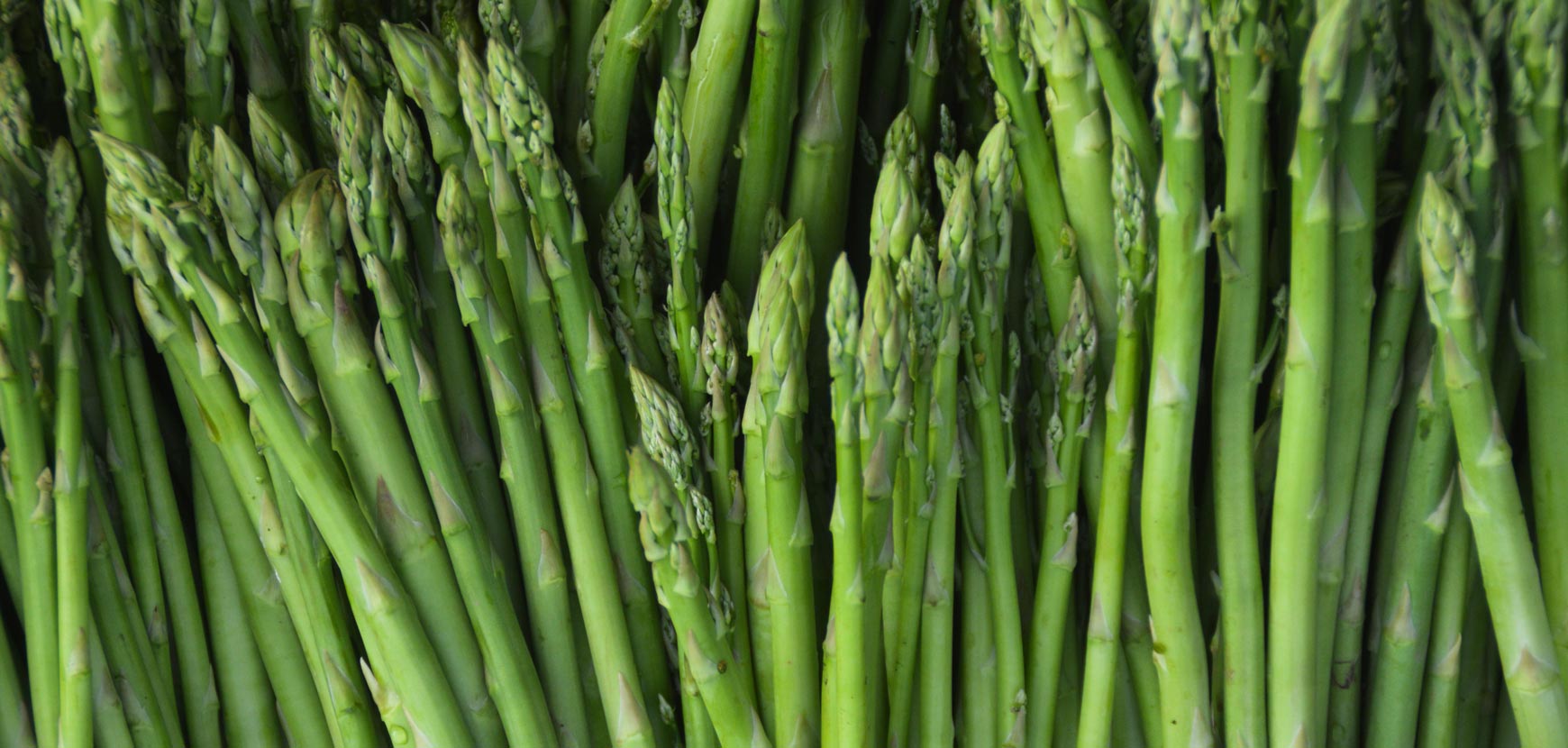Asparagi