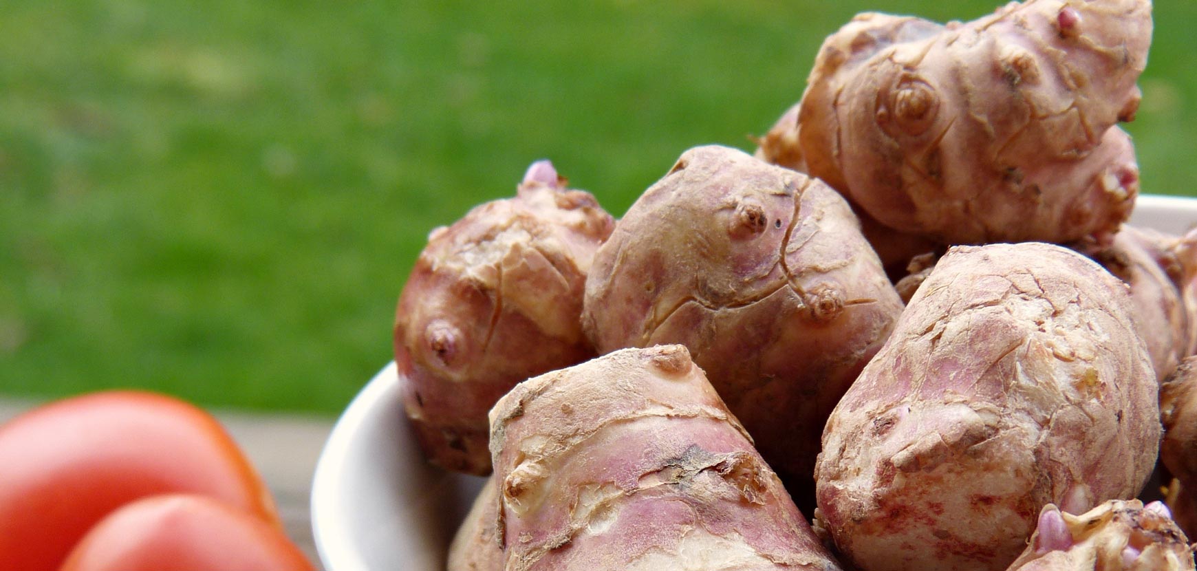 Autres bulbes potagers