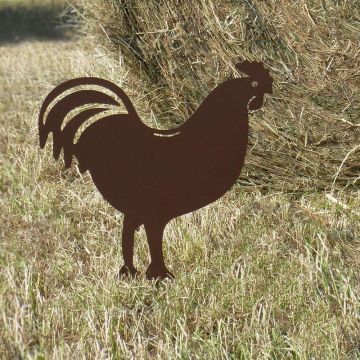 Elemento decorativo Gallo