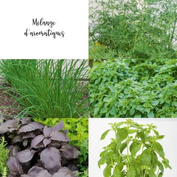 Mélange d'aromatiques