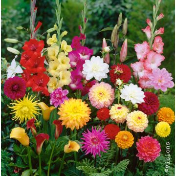 Assortimento Carnevale per cespugli