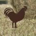 Elemento decorativo Gallo