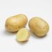 Patata PRIMLADY ®