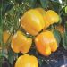 Plant de Poivron Twingo jaune F1